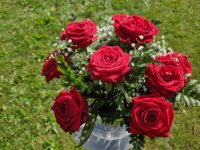 ein Bild aus dem Album