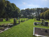 ein Bild aus dem Album