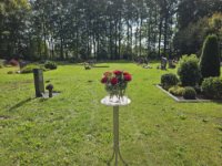 ein Bild aus dem Album