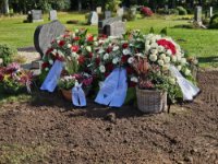 ein Bild aus dem Album