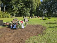 ein Bild aus dem Album