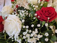 ein Bild aus dem Album