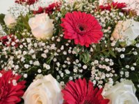 ein Bild aus dem Album